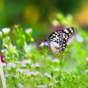 Meet your Posher, Evan